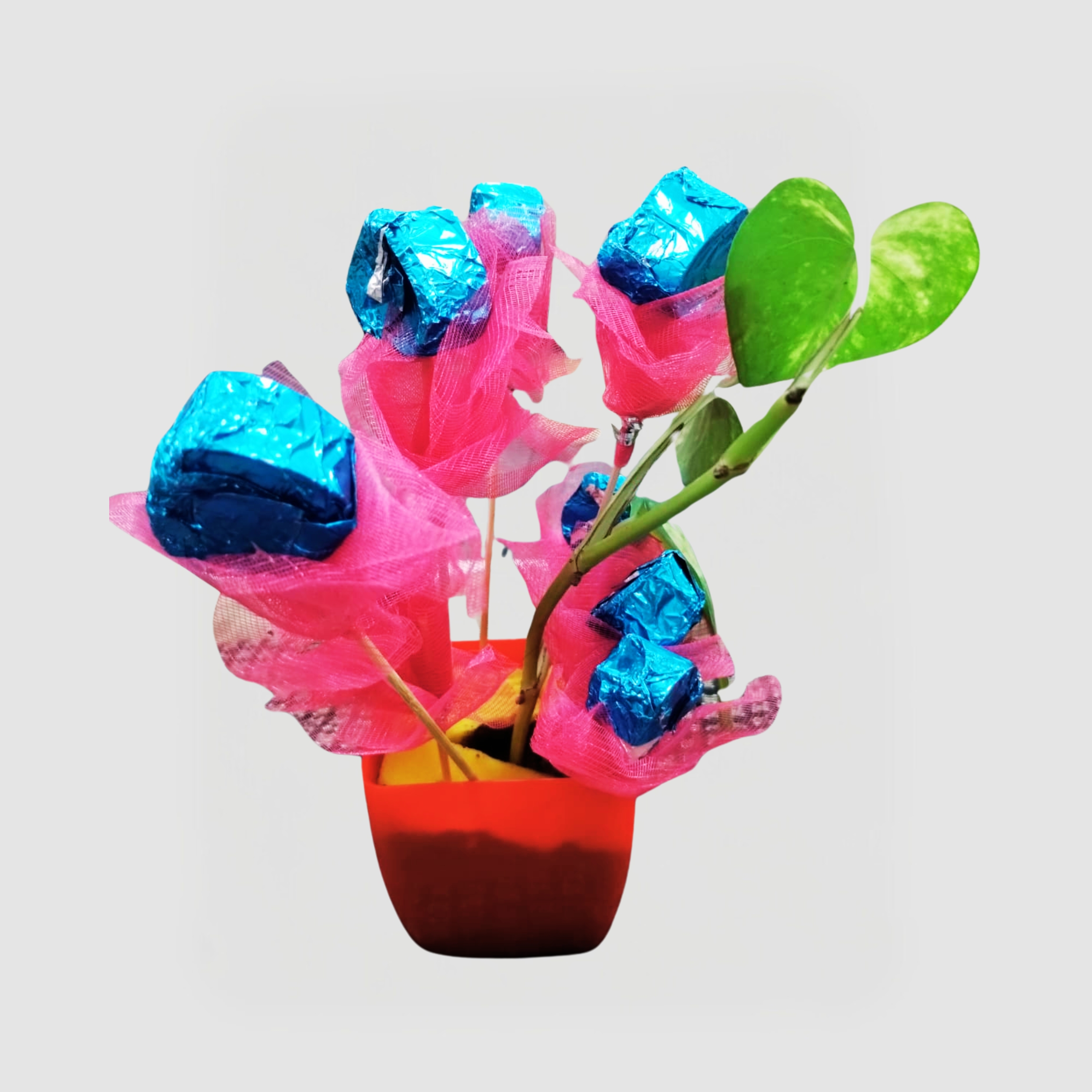 Dark Chocolate Simple Base Plants Gift Box – The Perfect Sweet Surprise A